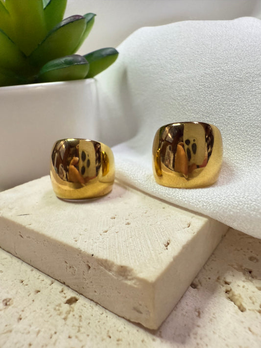 Bold Shine Earcuff / Aro Elegante
